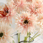 Hoa đồng tiền giả trang trí nhà cửa