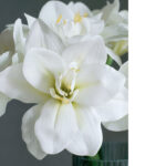 Hoa loa kèn giả trang trí nhà cửa