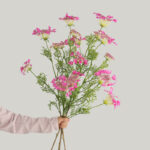 Hoa ren nữ hoàng giả trang trí nhà cửa