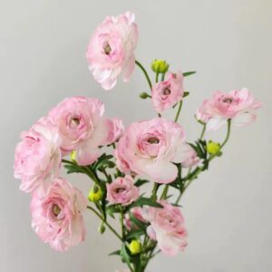 Hoa mao lương giả trang trí nhà cửa