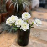 Hoa mao lương giả trang trí nhà cửa