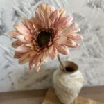 Hoa đồng tiền giả trang trí nhà cửa