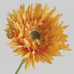 Hoa đồng tiền giả trang trí nhà cửa