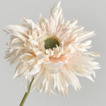 Hoa đồng tiền giả trang trí nhà cửa