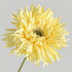 Hoa đồng tiền giả trang trí nhà cửa