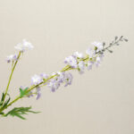 Hoa phi yến giả trang trí nhà cửa