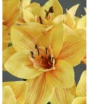 Hoa loa kèn giả trang trí nhà cửa