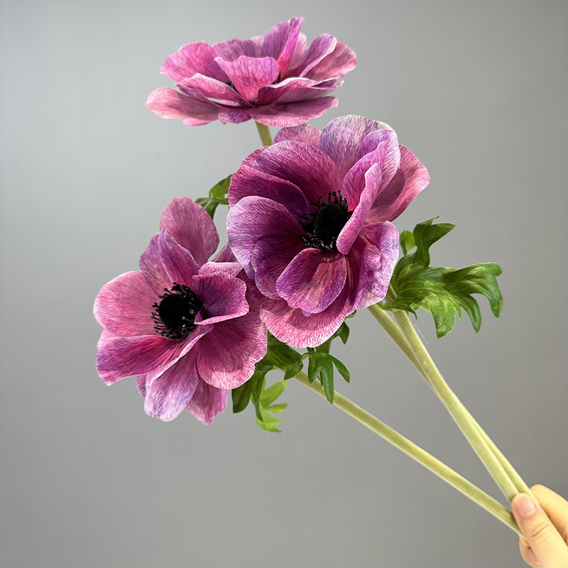 Hoa hải quỳ giả cao cấp Hoa hải quỳ giả cao cấp