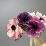 Hoa hải quỳ giả cao cấp