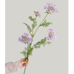 Hoa ren nữ hoàng giả trang trí nhà cửa