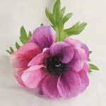 Hoa hải quỳ giả cao cấp