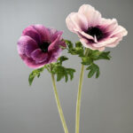 Hoa hải quỳ giả cao cấp