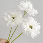 Hoa đồng tiền giả trang trí nhà cửa