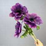 Hoa hải quỳ giả cao cấp