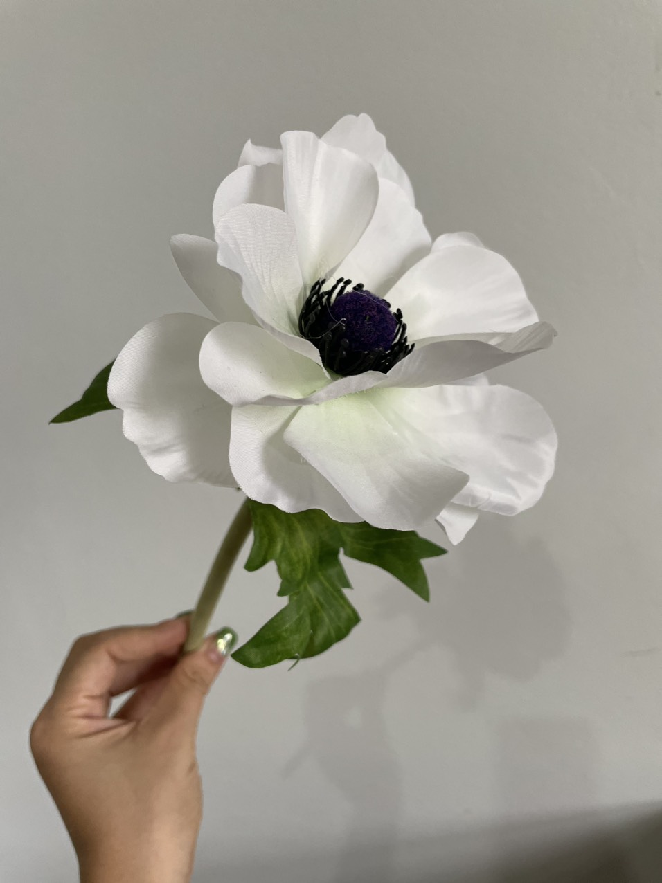 Hoa hải quỳ giả cao cấp