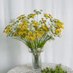 Hoa tiểu hồi hương giả trang trí nhà cửa