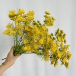 Hoa tiểu hồi hương giả trang trí nhà cửa