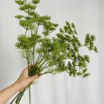 Hoa tiểu hồi hương giả trang trí nhà cửa