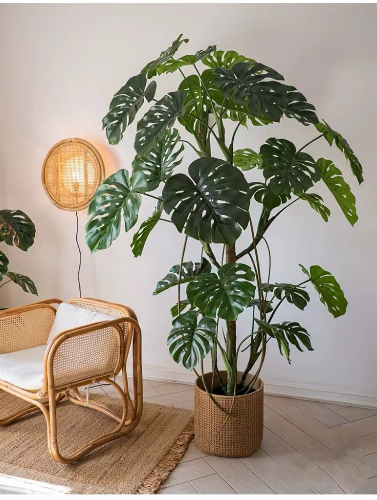 Cây trầu bà Nam Mỹ giả - Linhngadecor