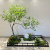 Cây gMua cây giả ở đâu tại Hà Nội chất lượng nhất – Linh Nga Decoriả decor có bền không? Chất lượng cao cấp tại Linh Nga Decor