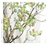 Cành việt quất giả