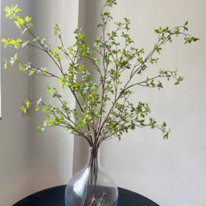 Cành thạch nam giả