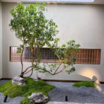 Thảm rêu trang trí cây và tiểu cảnh