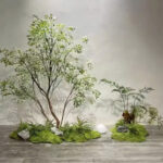 Thảm rêu trang trí cây và tiểu cảnh