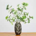 Cành kim ngân giả