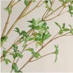 Cành thạch nam giả