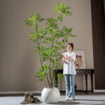 Cây hoàng liên nhiều nhánh giả