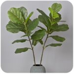 Cành bàng Singapo giả cao cấp