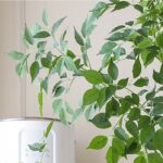 Cây Hạnh Phúc giả trang trí nhà cửa