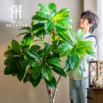 Cây sơn trà giả cao cấp