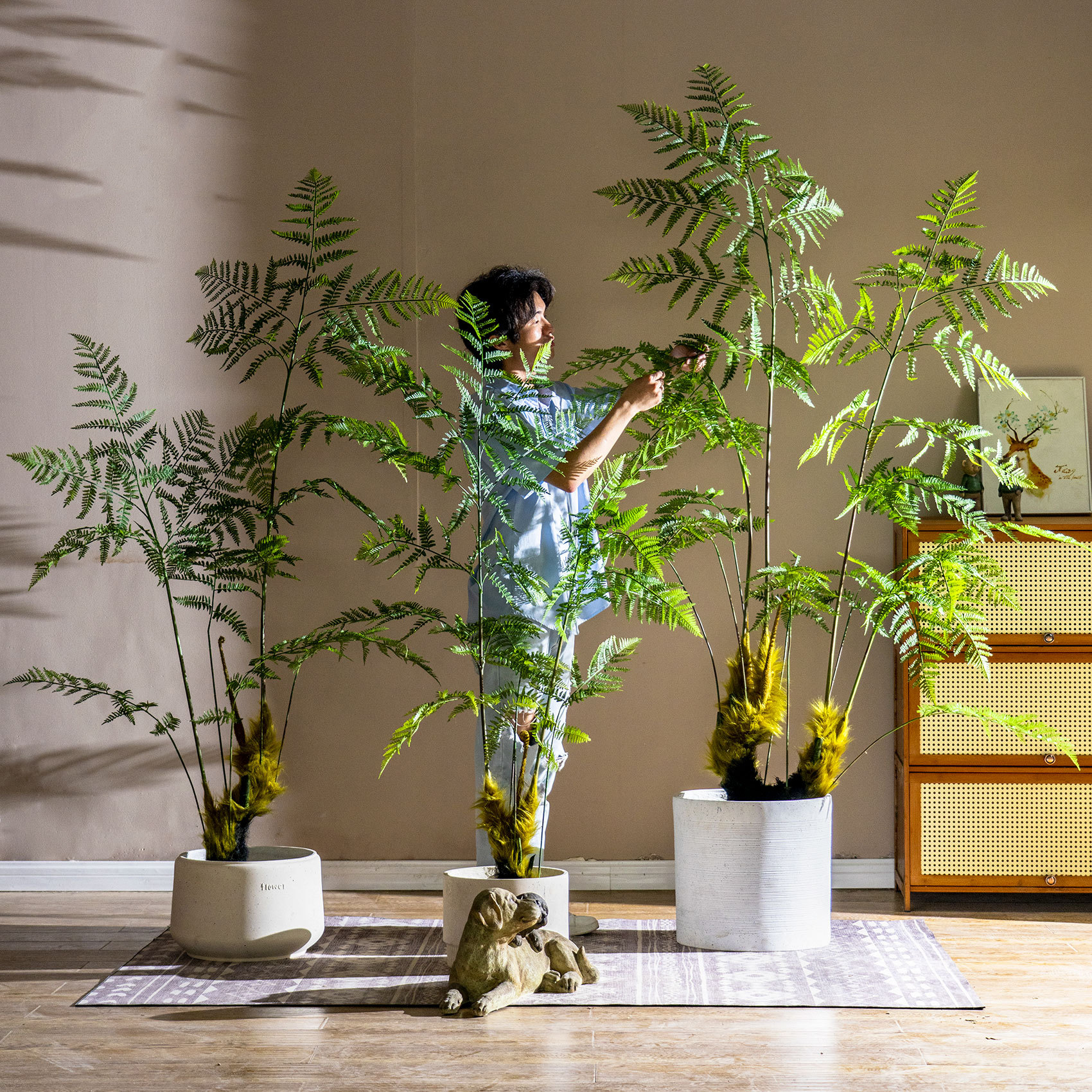 Cây dương xỉ giả