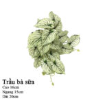 Cây giả nhỏ để bàn - trang trí tiểu cảnh