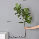 Cành bàng Singapo giả cao cấp