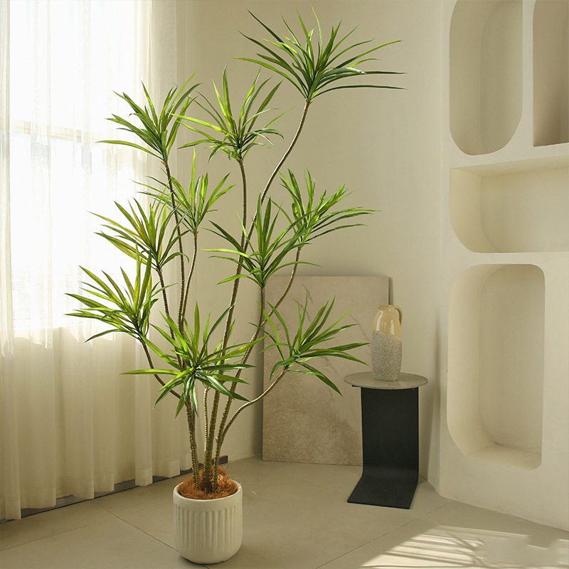 cây thiên niên kỷ giả