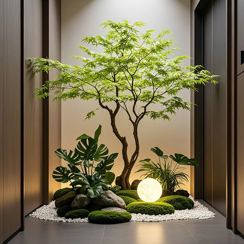 Thảm rêu trang trí cây và tiểu cảnh