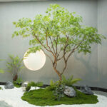 Thảm rêu trang trí cây và tiểu cảnh