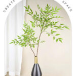 Cành thiên trúc giả