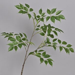 Cành hạnh phúc giả