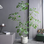 Cây Hạnh Phúc giả trang trí nhà cửa