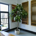 Cây sơn trà giả cao cấp