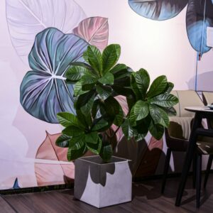 Cây sơn trà giả cao cấp