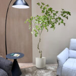 Cây si giả trang trí