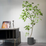 Cây si giả trang trí