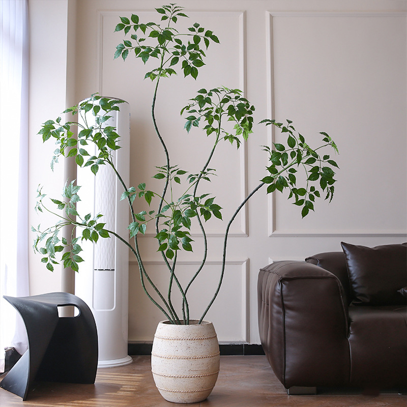 Cây hạnh phúc giả