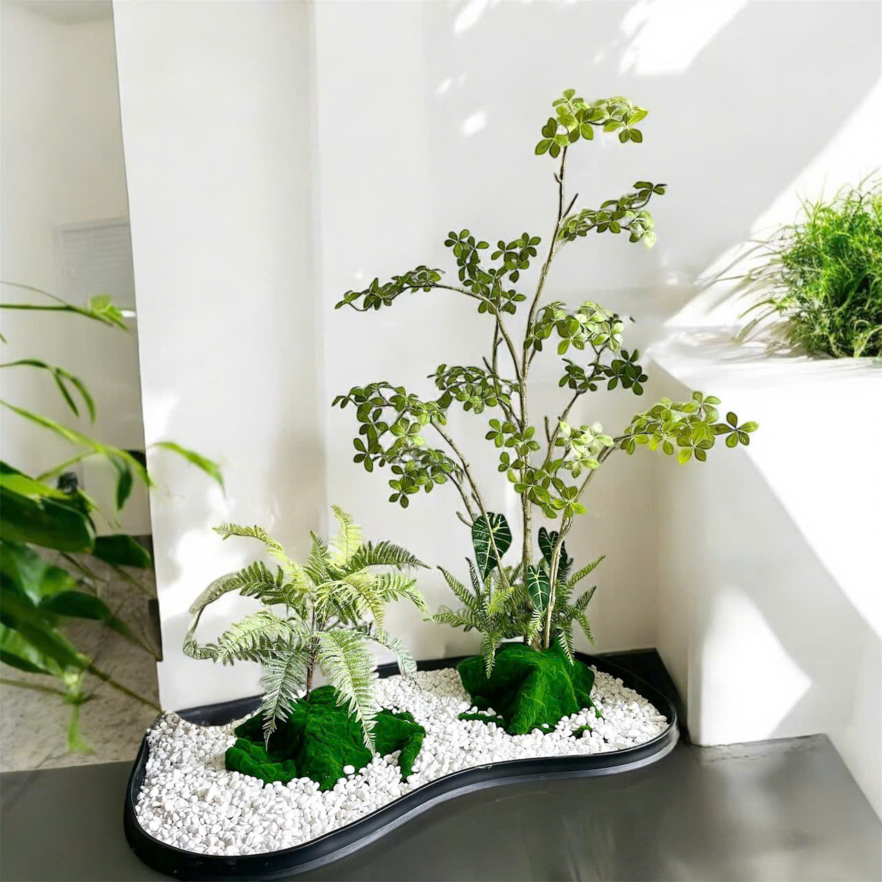 Set tiểu cảnh sơn chi và dương xỉ