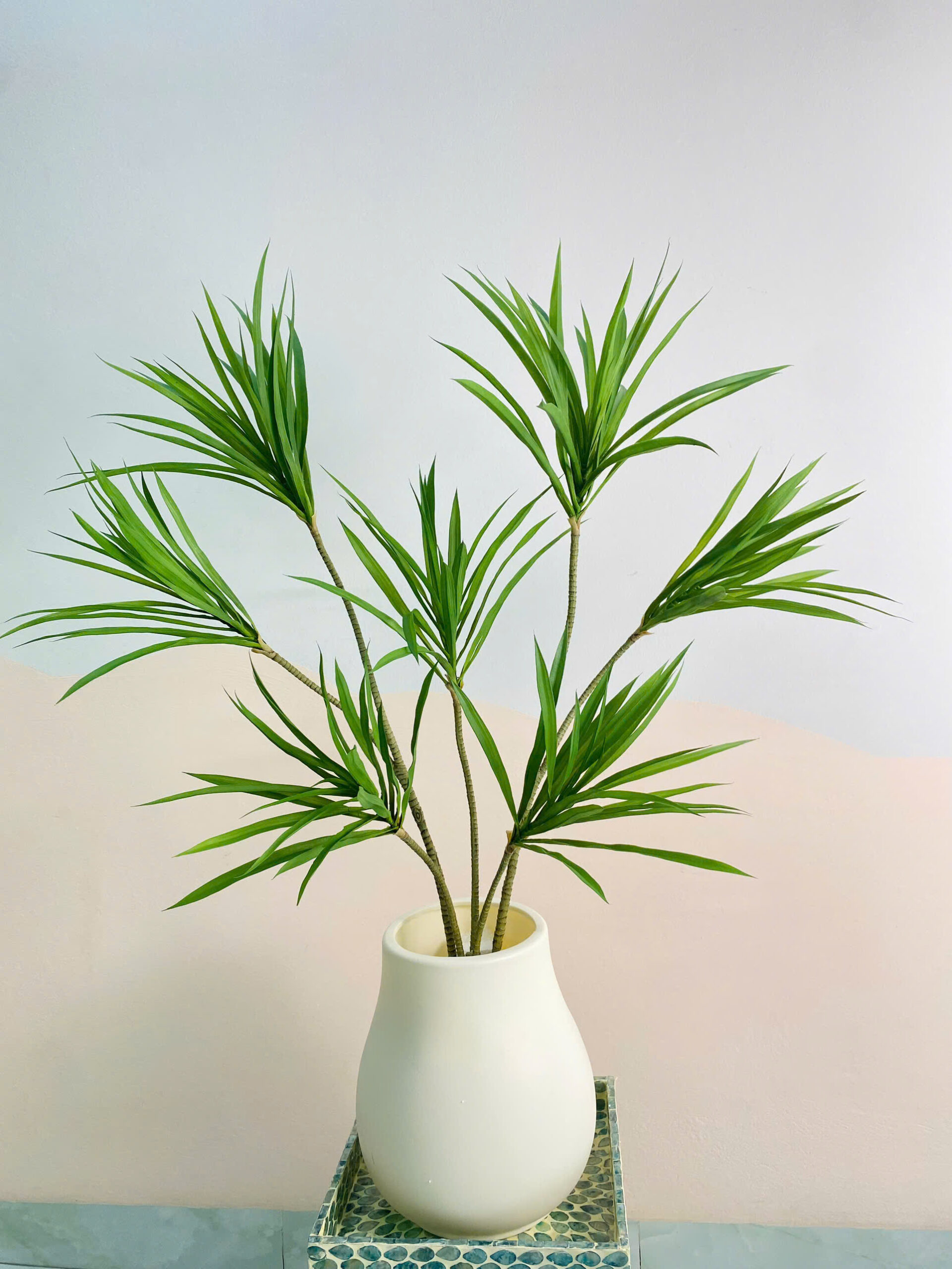 Vẻ đẹp thanh thoát, sang trọng – biểu tượng của sự bền vững và thịnh vượng